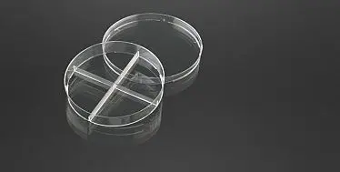 Petri Plates Image