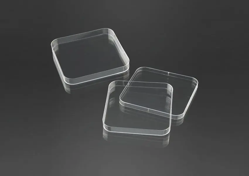 Petri Plates Image