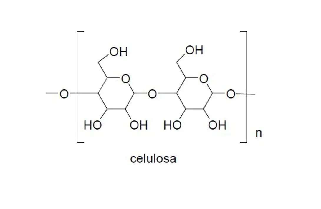 imagen Filtros de membrana Acetato de celulosa