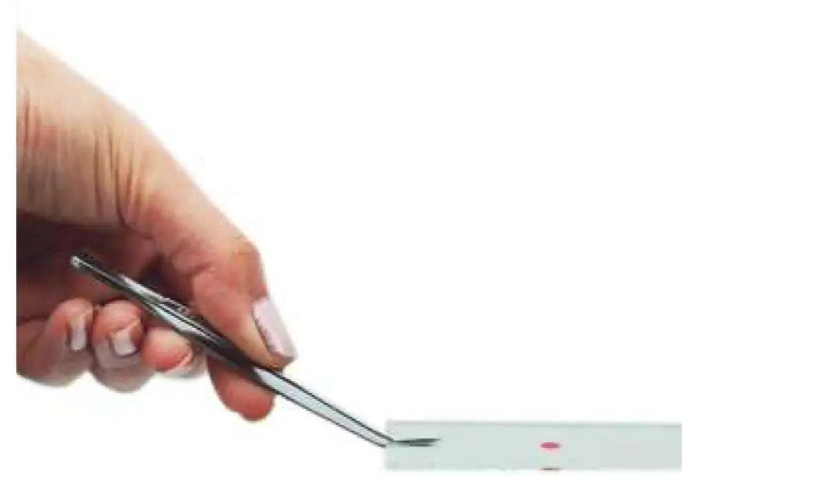 Image of SLIDE HOLDER TWEEZERS