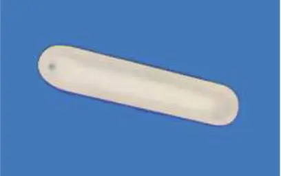 Image of Combustion ship without vitrification